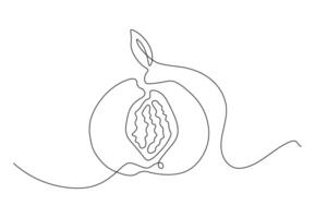 Minimalistic continuous line peach with pit and leaf for the logo and designs. Peach in one line art style. vector