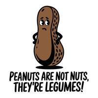 Peanuts Are Not Nuts They Are Legumes T Shirt Design Grumpy Face Peanut vector
