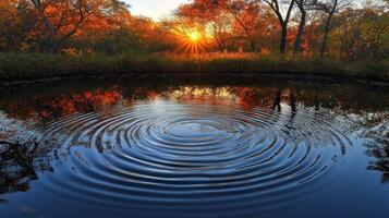 Autumn sunset reflected in calm pond water, ripples spreading photo