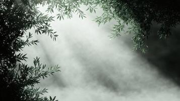 Sunbeams through forest canopy, misty background, nature scene, website banner photo
