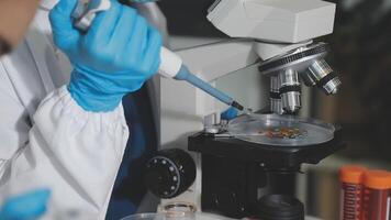 A person in a lab coat is looking at a microscope video