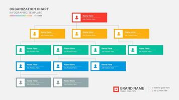 Organizational Chart, Tree Diagram Business Infographic Template Design vector