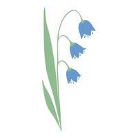Floral branch. Gentle flower, spreading bellflowers with simple tiny delicate blossoms. vector