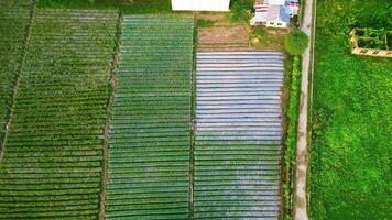 Aerial View of Agricultural Fields and Farmhouse video