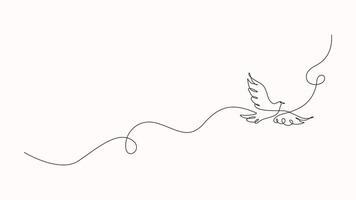 Animated one continuous line drawing of dove bird video