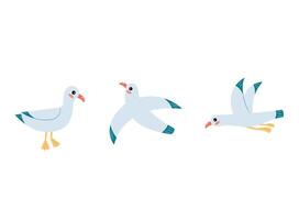 Set of Three Seagull Illustrations. Flying and Standing on a Lamppost vector
