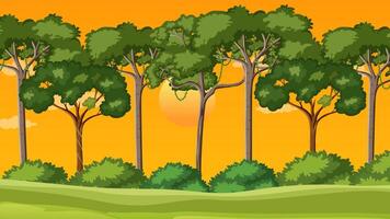 Tranquil Sunset Forest Parallax Zoom Out - Animation for Backgrounds video
