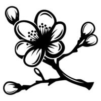 Delicate Cherry Blossom Branch with Buds and Petals in Black and White Design vector