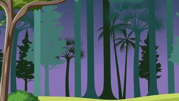 Mysterious Night Forest Parallax Zoom Out - Tranquil Nature Animation video