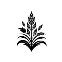 Stylized Black and White Floral of Wheat or Grain, with Detailed Leaves, on a Clean Background. vector