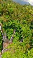 FPV drone dive near cascading Fiji Waterfall in lush jungle of Bali, Indonesia video
