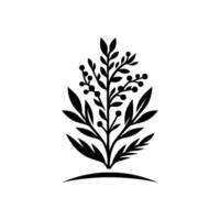 Minimalist Black and White Botanical Illustration Elegant Foliage with Berries, Symmetrical on a Clean White Background. vector