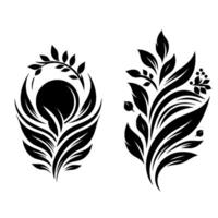 Elegant Black and White Illustrations of Botanical and Leafy Designs, Composed on White Background. vector