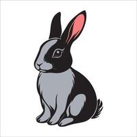 black and gray rabbit sitting on a white background vector