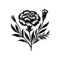 Intricate Black and White Floral Illustration of Carnations with Buds and Foliage on a Pristine White Background. vector