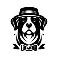 illustration of a border collie in a fedora and bow tie, exuding charm and sophistication in monochrome. vector