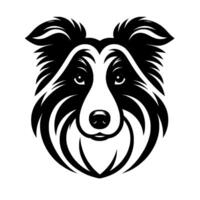 Stylized, Black and White Portrait of a Border Collie Dog with Intense Gaze, Simple Lines, and Art Aesthetic. vector