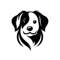 Simplistic Black and White Border Collie Portrait with a Happy Expression on White Background. vector