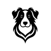 Stylized Black and White Border Collie Portrait on a White Background, Depicting a Friendly Expression. vector