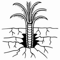 drawing of a palm tree emerging from cracked ground, symbolizing resilience and growth vector