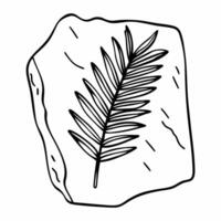 Fossilized leaf imprint on rock nature's ancient botanical record preserved in stone vector