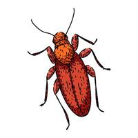 extermination cockroach sketch vector