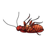 control cockroach sketch hand drawn vintage vector