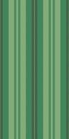 Dress vertical seamless , grunge pattern texture lines. Perfect fabric stripe textile background in green and light colors. vector