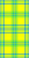 Skirt textile texture, package seamless pattern plaid. Geometric fabric check tartan background in yellow and green colors. vector