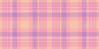 Pastel pink and lavender plaid pattern. Perfect for textile design, scrapbooking, or website backgrounds. Subtle, elegant, and versatile, this soft texture evokes feelings of calm and femininity. vector