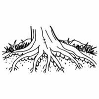 Tree roots in soil illustrating growth and stability in nature vector