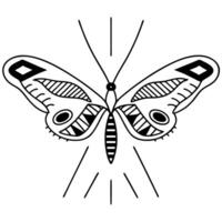 Abstract butterfly illustration with geometric patterns and symmetric design, black and white art vector