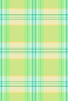 Indian check background texture, relax tartan seamless. Ethnic plaid pattern fabric textile in green and amber colors. vector