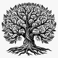Intricate Black and White Tree Illustration with Twisted Roots and Branches vector