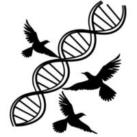 Dna helix with three flying birds, symbolizing evolution and freedom in science and nature vector