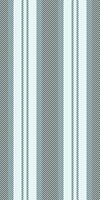 Tntricate lines pattern background, lovely vertical texture. Bchool fabric stripe seamless textile in white and dark colors. vector