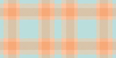 Pastel peach and mint green plaid pattern. Perfect for textile design, wallpaper, branding, or web backgrounds. This soft, minimalist design evokes feelings of calm and serenity. vector