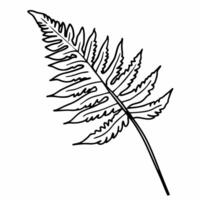 illustration of a simple fern leaf outline, elegant botanical art with detailed frond structure vector