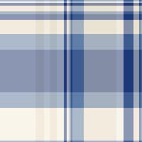 Elegant blue and cream plaid pattern. Subtle texture and calming color palette ideal for website backgrounds, textile designs, or packaging. vector