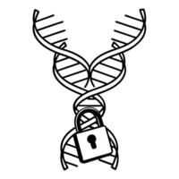 Dna strand with lock symbolizing genetic security and privacy vector