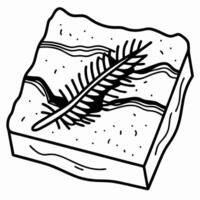 Fossilized fern imprint in sedimentary rock layers geological history, ancient flora preserved in stone vector