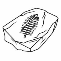 Fossilized fern leaf imprint in rock black outline on white background prehistoric plant illustration vector