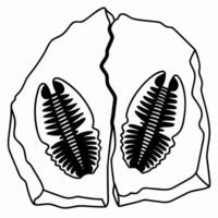 Trilobite fossil illustration prehistoric marine arthropod in rock formation vector