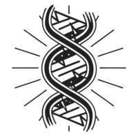 Geometric dna helix abstract black and white design with radiating lines vector