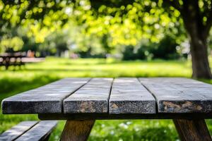 Empty picnic table park sunny day photo
