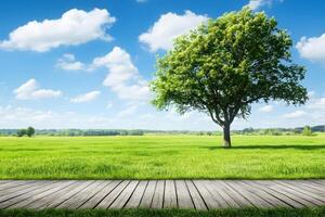 Wooden boardwalk and tree in the field photo