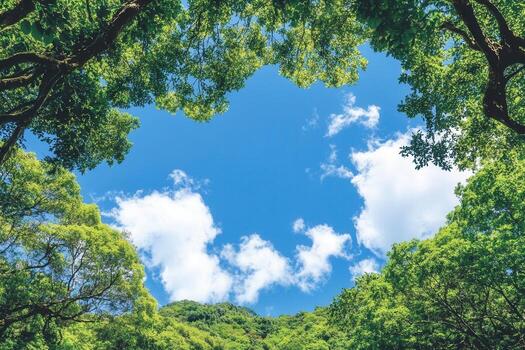 A serene view of trees framing a blue sky with clouds. photo