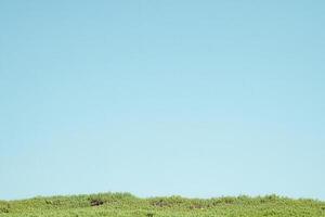 Clear blue sky above a lush green landscape. photo