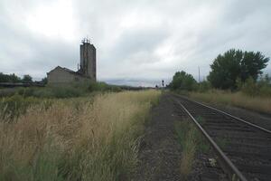 Abandoned industrial area with railway tracks and grass. photo