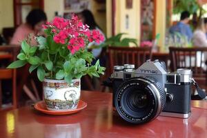 A camera and a flower pot on a table photo
